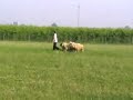 Nodo, 21 giugno 2008