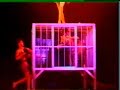 Animal Attacks In Extreme Magic Shows Worldwide Animal Attacks In Extreme Magic Shows Worldwide