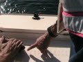 Fishing with Don