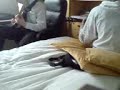 oasis-live-forever.html