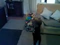 ricky se zabavlja ricky se zabavlja