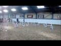 Lou & Saff Jumping E's NAWS Nov