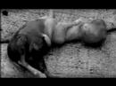 bad religion\"who we are\"