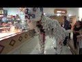 Lion Dancing Bonnyrigg