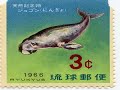 Protecting the Dugong from Habitat Destruction (with audio) Protecting the Dugong from Habitat Destruction (with audio)