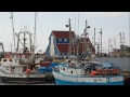 Song Of Newfoundland