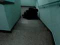 Assistir ao vídeo