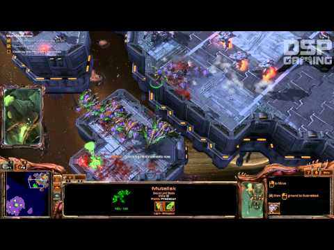 starcraft 2 swarm starcraft 2 swarm