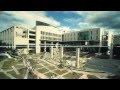 Mahidol University, Excellence - มหาวิทยาลัยมหิดล