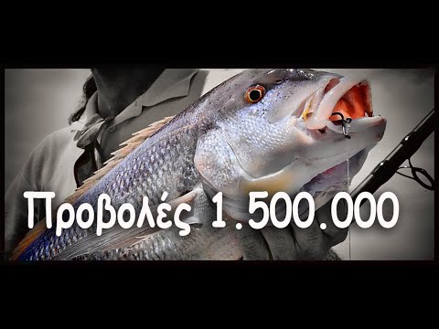 ψαρεμα - (Live baits) Δείτε ολα τα μυστικά για τη σύλληψη των Συναγρίδων - Dentex dentex www.anglers.gr - www.tracerclub.gr Συστηματική κατάταξη: Βασίλειο: Ζώα (Anima...