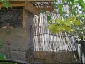 梅雨入りしたというのにこの陽気♪日本ミツバチも冬に向けてせっせとはたらきまくっております。すごいなああああ