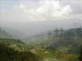 dadyal 2