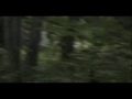 bigfoot mule jack!