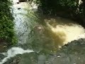 Maunawili Falls Jumpers