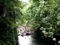 Maunawili Falls Jumpers
