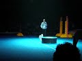 IAMS Superdog at Pacific National Exhibition, Vancouver - Dog introduction (1)