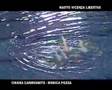 Nuoto Sincronizzato Vicenza