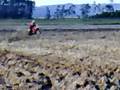 videos de 21092008103.mp4