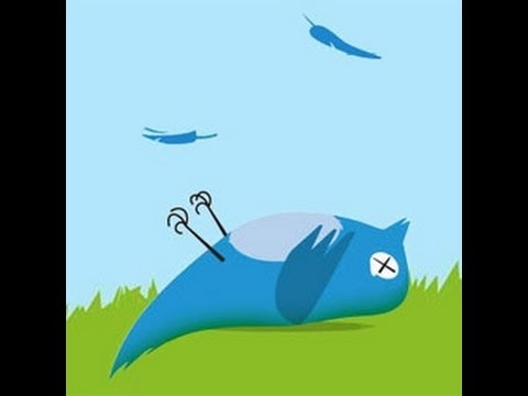 how to unsuspend your twitter account