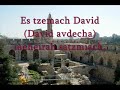 miami boys choir es tzemach