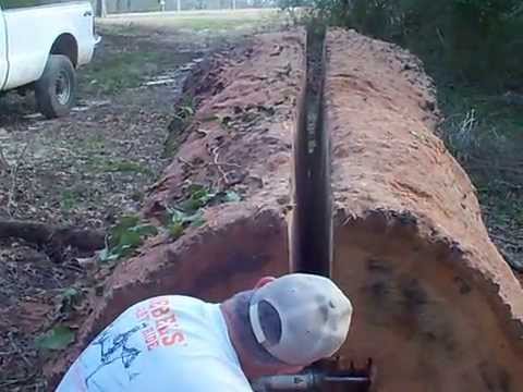 Donk splitting a monster red oak log.