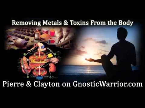 how to eliminate metals from the body