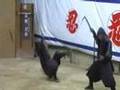 Ninja-in-Action