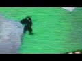 Click here to watch this video Vader gets chased by a homeless stranger episode5