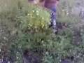 cortando navo