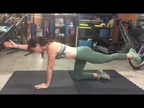 How to… Bird Dog on BOSU