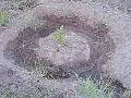 deforestacion proyecto89