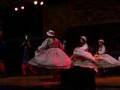 videos de Negrillo