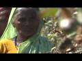 videos de Feeding the World