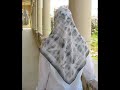 hijaab