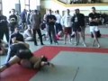 Akademia Sarmatia HL from submission wrestling competitions Akademia Sarmatia HL from submission wrestling competitions