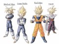 DBZ Rollin'