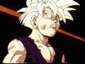DBZ Rollin'
