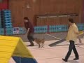 Agility -Klea a nas prvni uspech