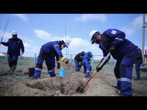 Эмбинцы приняли активное участие в общенародной акции по высадке саженцев «Мое дерево»