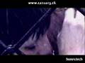 t.A.T.u. - White Robe rmx NEW SONG