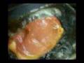 pork worms, this worked better than coke - mike white pork worms, this worked better than coke - mike white