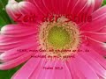 Zeit der Stille Blumen Psalm 30 3
