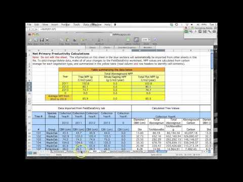 how to measure npp and gpp