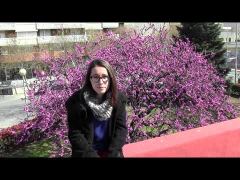 Imatge de previsualització de YouTube