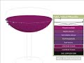 06  Adobe Illustrator x Corel Draw - Mesh - Malha interativa