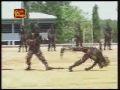 Sri Lanka Air Force is the best in the world Defence Secretary 2009-08-23