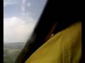brif de tineo