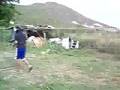 paintball testing 2