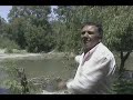 Acusan a Agrosuper por contaminaci�n en lago Rapel