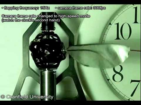 N8Projects - The flapping-wing apparatus, the 'Flapperatus', is an experimental test rig for research into insect-like flapping-wing flight. This was produced during my P...